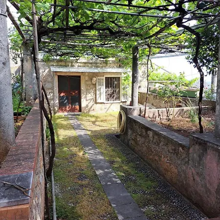 Apartment Sea View With Terrace And Garden