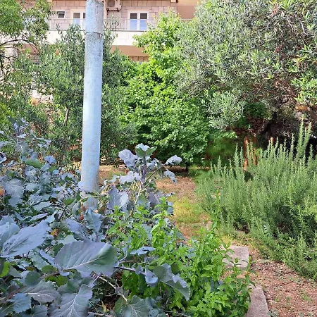 Sea View With Terrace And Garden Apartment